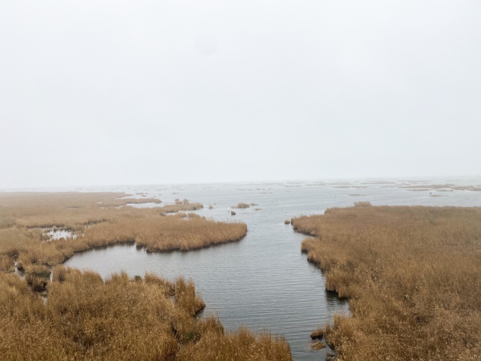 Вид сверху (ООРХ Дагестанское)