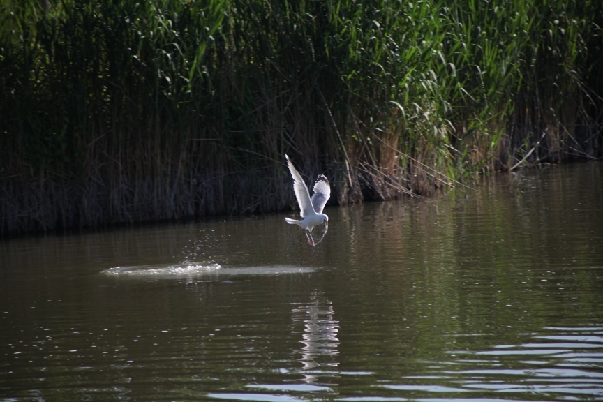 4b98451ccba8f0d00ad8706882d58343