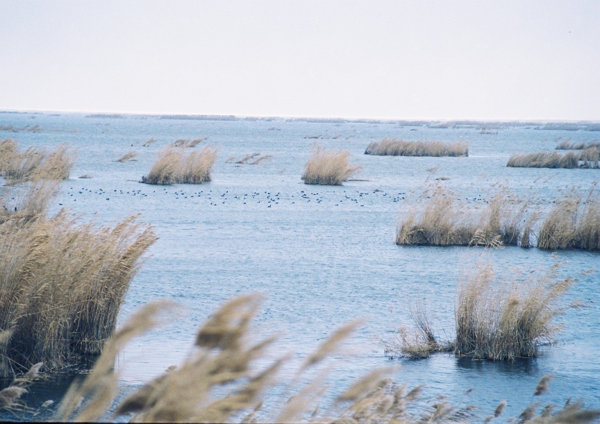 bf83651167bb364ec9dba9b316960108