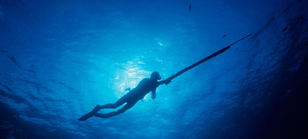 Подводная охота