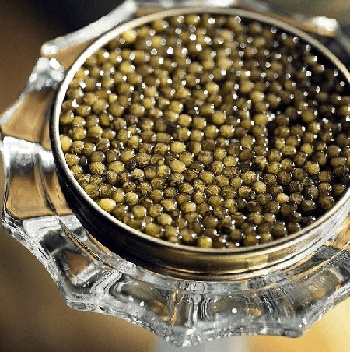 Белужья икра: свойства белужьей икры