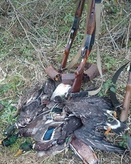 Охота в Дагестане