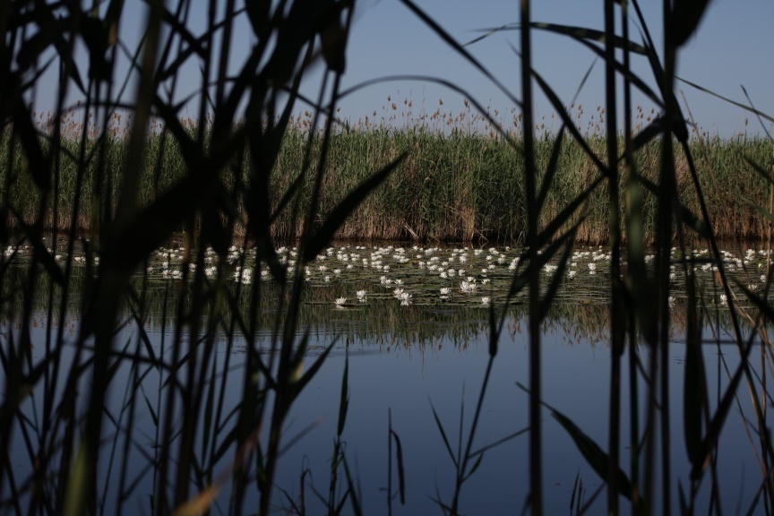 Экотуры в Дагестане для всей семьи