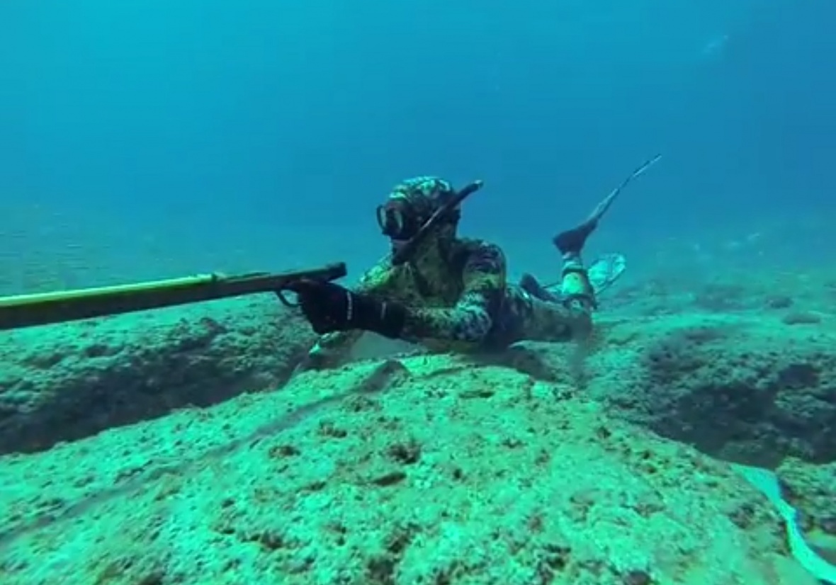 Подводная охота: что нужно об этом знать?