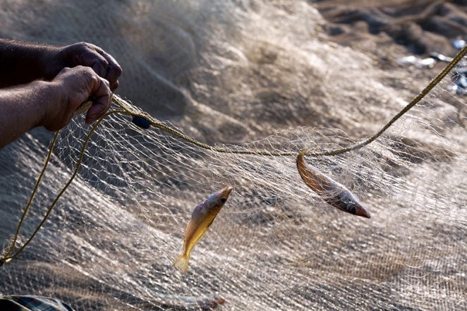 Способы ловли рыбы