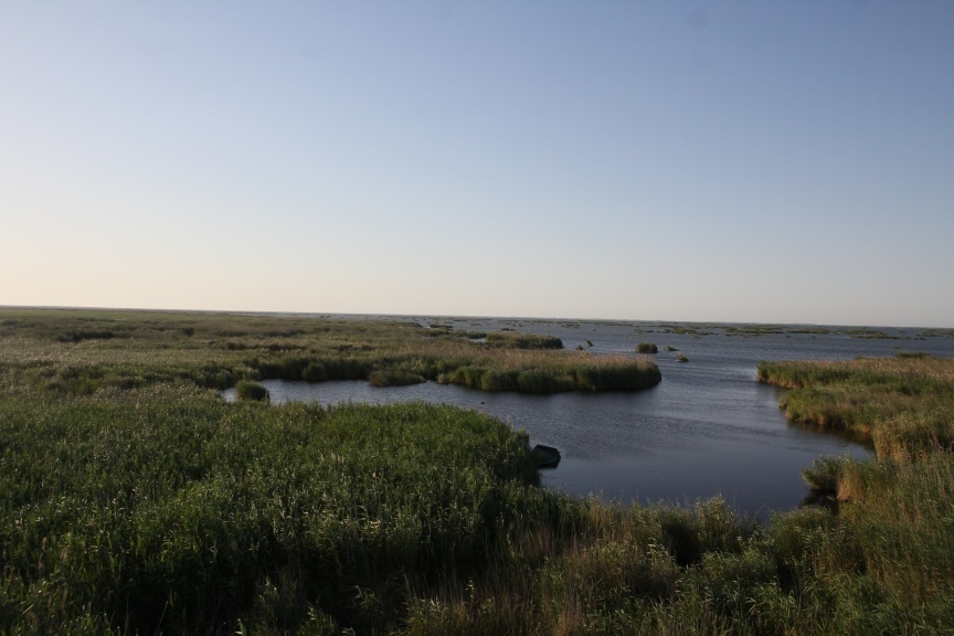 12c9c027201678d49cfbaf58da48071a