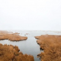 Осенняя пора