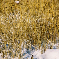 Аграхан зимой