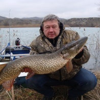 Зимний улов