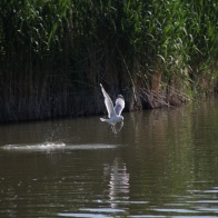 4b98451ccba8f0d00ad8706882d58343