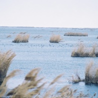 bf83651167bb364ec9dba9b316960108