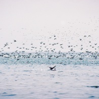 Аграхан зимой