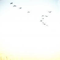 Аграхан зимой