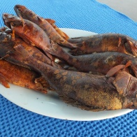 Горячее копчение окуня